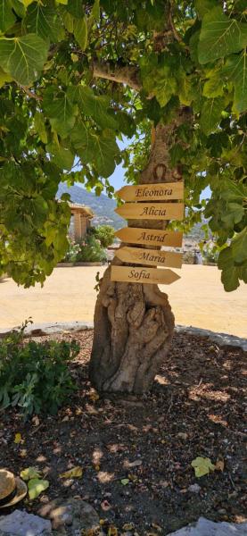 Casas Rurales- 